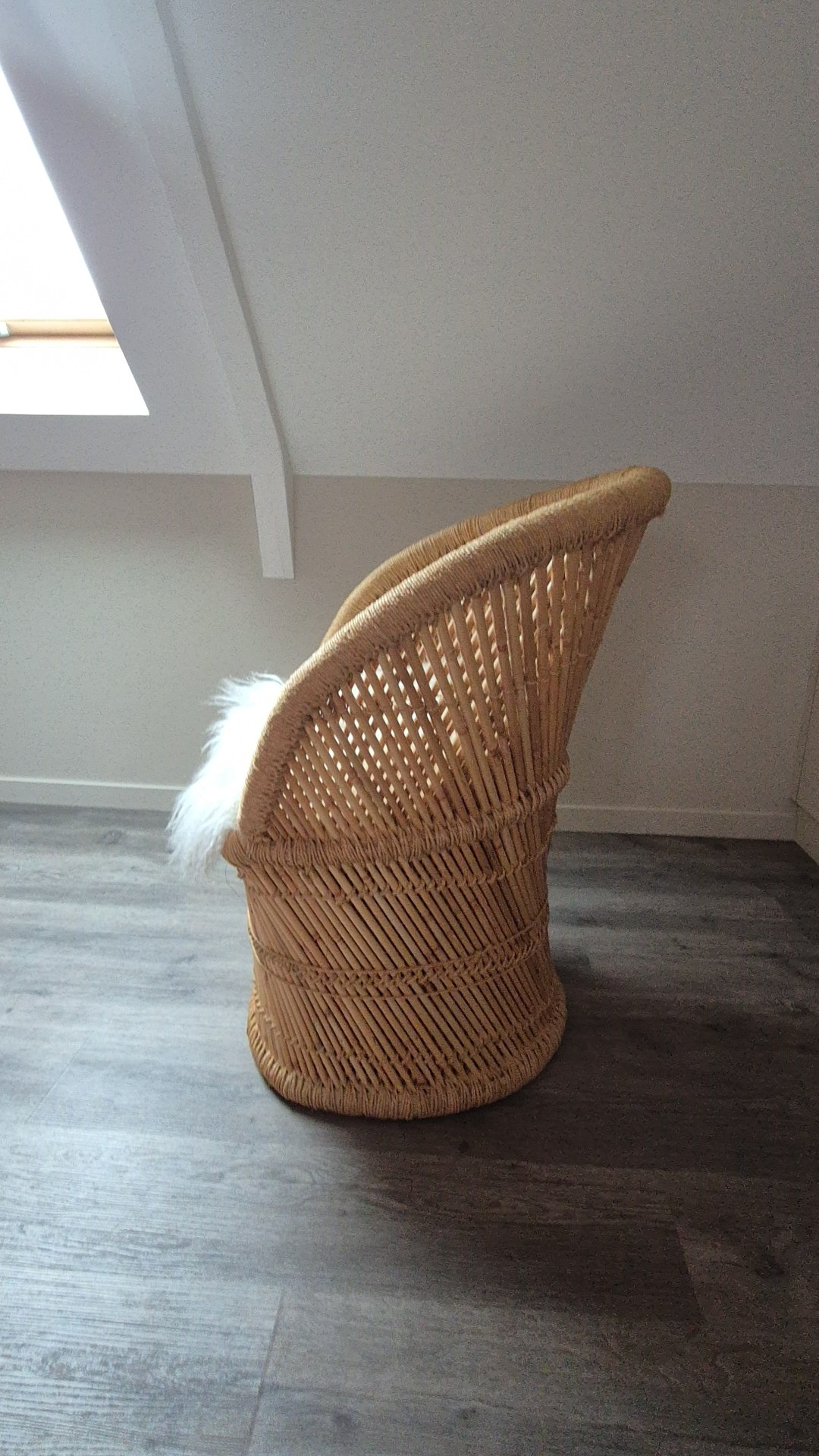Photo originale — Profil